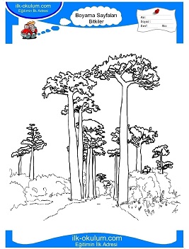 Çocuklar İçin Ağaç Boyama Sayfaları 